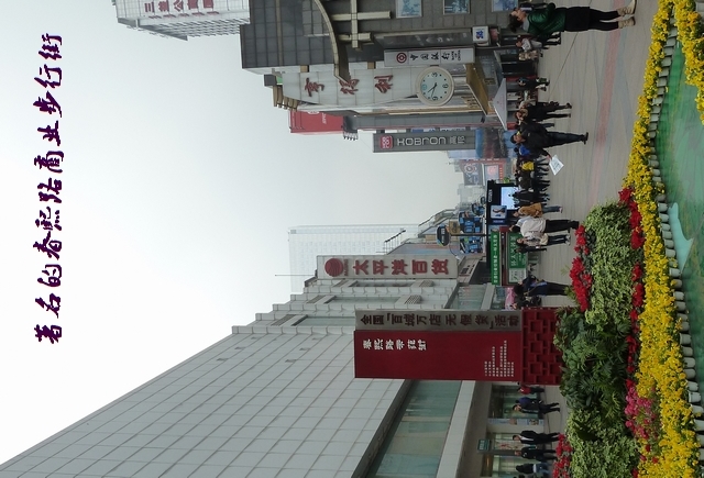 p1050467_旋PW.jpg